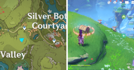 Genshin - Veluriyam Mirage - Exquisite Chest 6