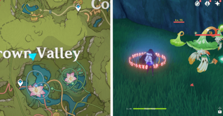 Genshin - Veluriyam Mirage - Exquisite Chest 8