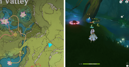 Genshin - Veluriyam Mirage - Exquisite Chest 12