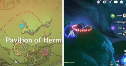 Genshin - Veluriyam Mirage - Exquisite Chest 16