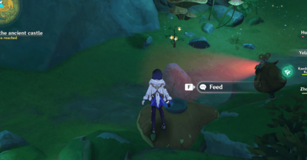 Genshin Impact - Wraith Puzzle 4