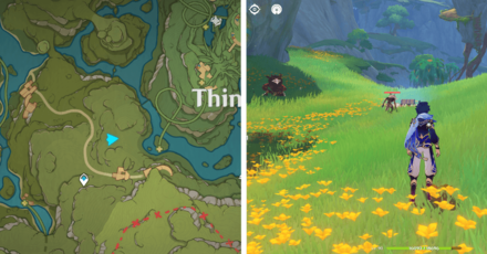 Genshin - Veluriyam Mirage - Exquisite Chest 17