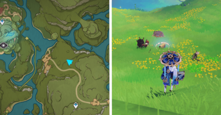 Genshin - Veluriyam Mirage - Common Chest 25