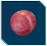 Pikmin 4 - Lesser Mock Bottom