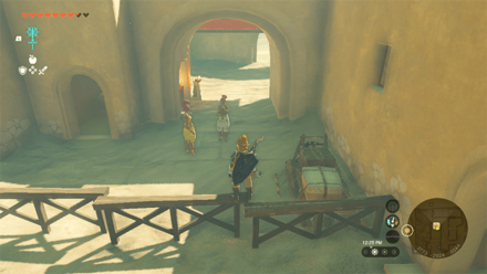 Zelda Tears of the Kingdom TOTK - Talk to Pokki at Sand-Seal Shop