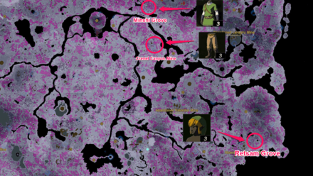 TotK - Hero of the Sky Set