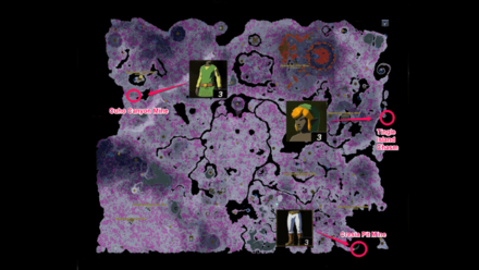 TotK - Hero of Winds Set