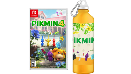 Walmart Stainless Steel Water Bottle