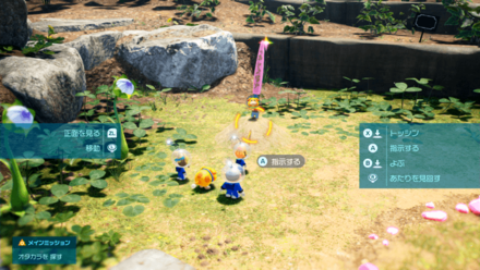 Pikmin 4 - Noble Bident Overworld Location