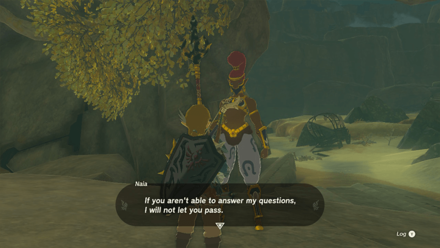 Zelda Tears of the Kingdom TOTK - Naia