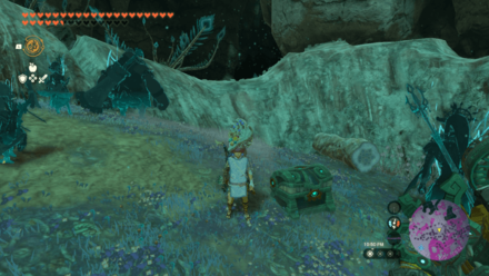 TOTK - Tunic of the Sky Location