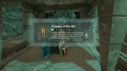 TOTK - Trousers of the Sky