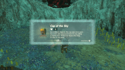 TOTK - Cap of the Sky