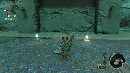 TOTK - Tunic of Twilight Location