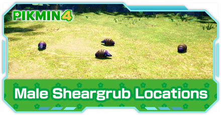 Pikmin 4 - Male Sheargrub Locations