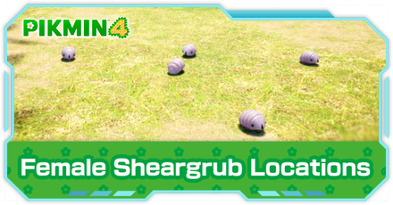 Pikmin 4 - Female Sheargrub Locations