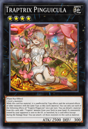 Traptrix Pinguicula