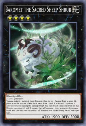 Baromet the Sacred Sheep Shrub