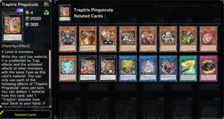 Master Duel - Related Cards in Shop