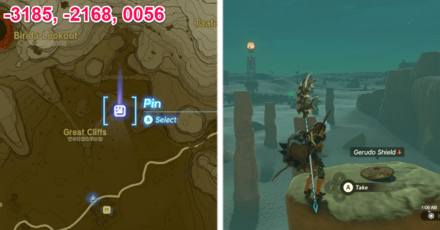 Zelda TotK Gerudo Shield 1