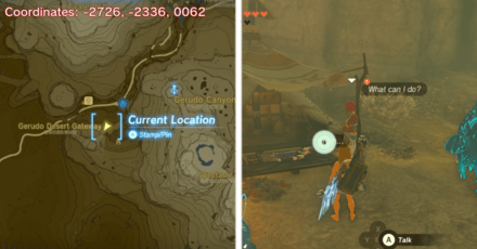 Tears of the Kingdom TOTK