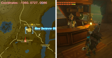 Tears of the Kingdom TOTK