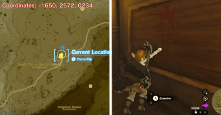 Tears of the Kingdom TOTK