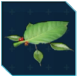 Pikmin 4 - Skitter Leaf