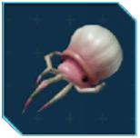 Pikmin 4 - Mitite