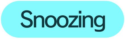 Pokemon Sleep - Snoozing