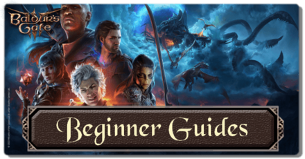 Beginner Guides.png