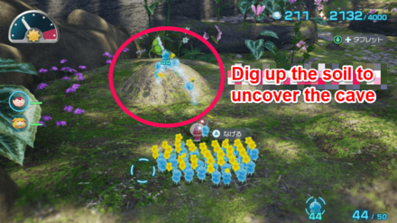 Pikmin 4 - Kingdom of Beasts Overworld Location