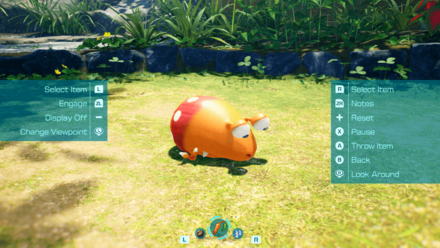 Pikmin 4 - Press the A Button to Observe