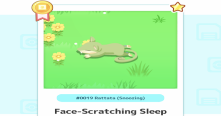 Rare Sleep Styles Board