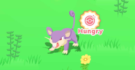 Pokemon Sleep - All Sleep Types - Hungry Pokemon