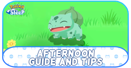 Pokemon Sleep - Afternoon Guide and Tips