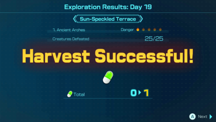 Night Expedition Pill