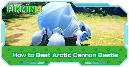 Pikmin 4 - Arctic Cannon Beetle Locations
