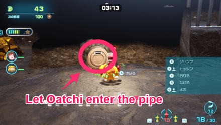 Pikmin 4 - Hotshock Canyon - Collect Treasures After Pressing the Switch