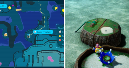 Pikmin 4 - Castaway 19 location