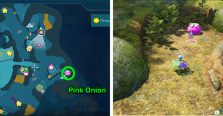 Pikmin 4 - Pink Onion Location