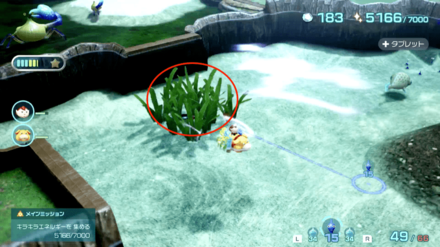Pikmin 4 - Find the Treasure Hidden in the Seaweed