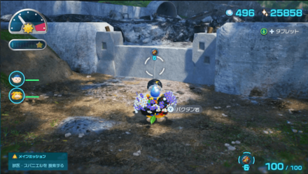 Pikmin 4 - How to Get Rock Onion Step 3