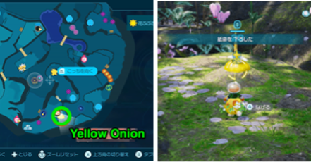 Pikmin 4 - Yellow Onion Location at Blossoming Arcadia