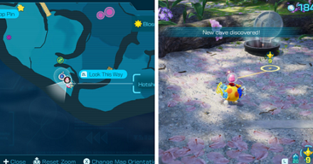Pikmin 4 - Castaway 16 location