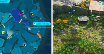 Pikmin 4 - Castaway 15 location