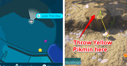 Pikmin 4 - Find Hidden Treasure Northwest of the Map