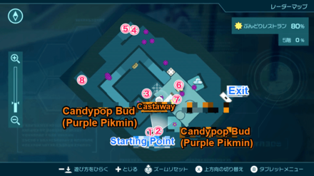 Pikmin 4 - Plunder Palace 5th Sublevel