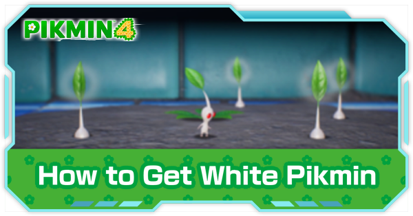 Pikmin 4 - White Pikmin Abilities and How to Unlock