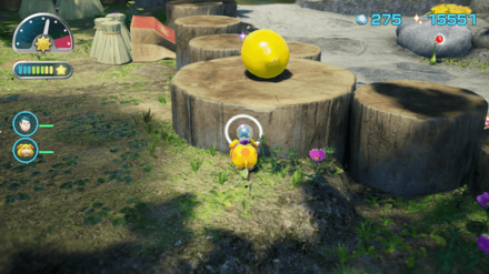 Pikmin 4 - Face Wrinkler Overworld Location